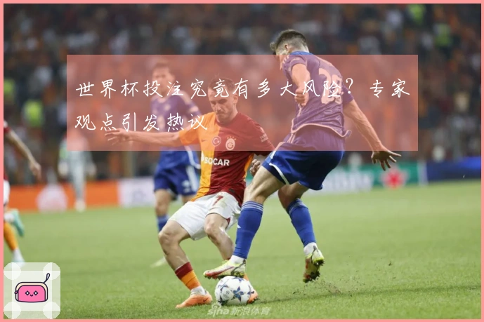 世界杯投注究竟有多大风险？专家观点引发热议